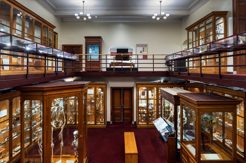 Mütter Museum of The College of Physicians