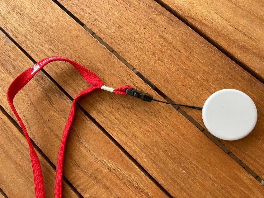 Viking Venus