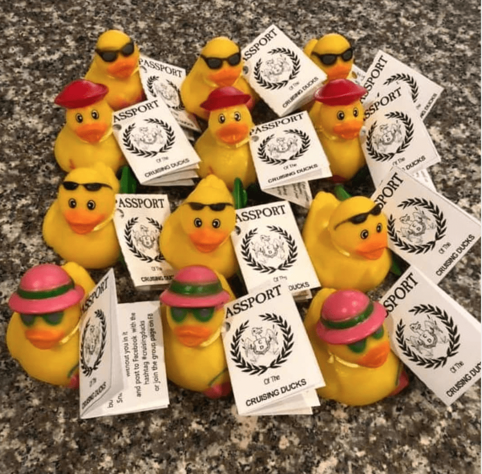 Cruising Ducks