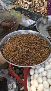 Deep fried grubs