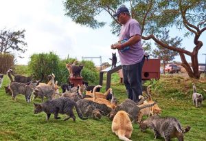 Pet Friendly Cruises