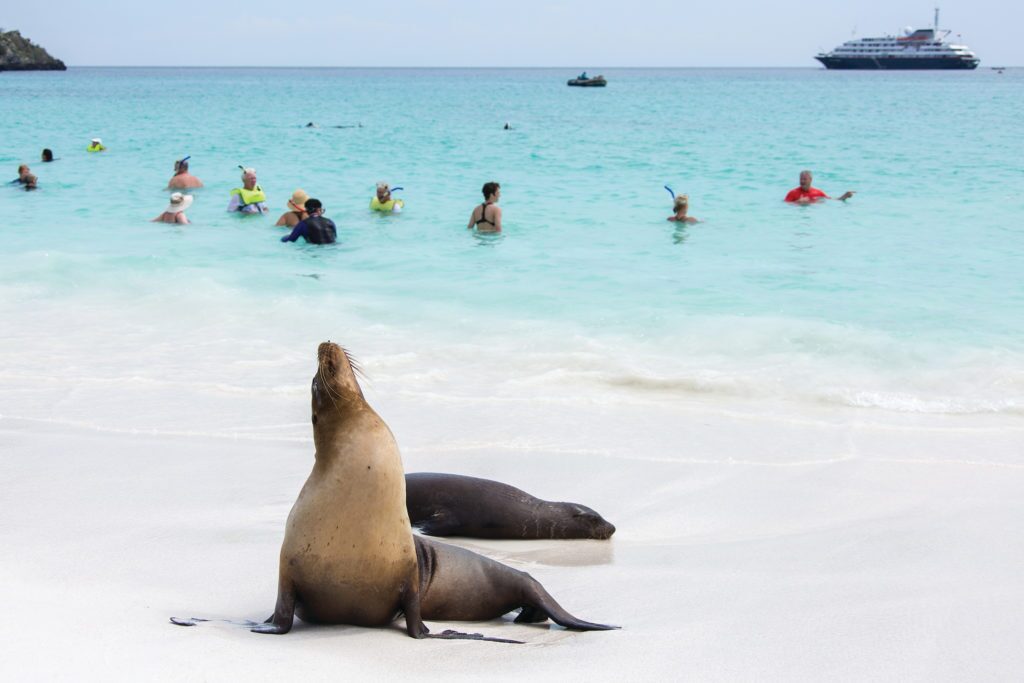 Silversea Cruises