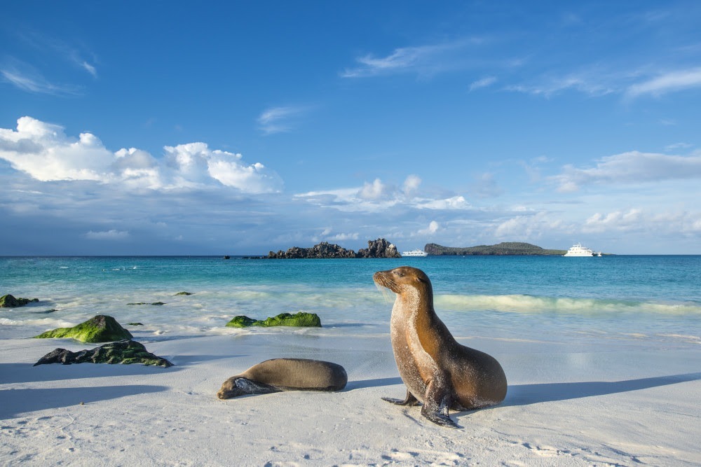 Galapagos 