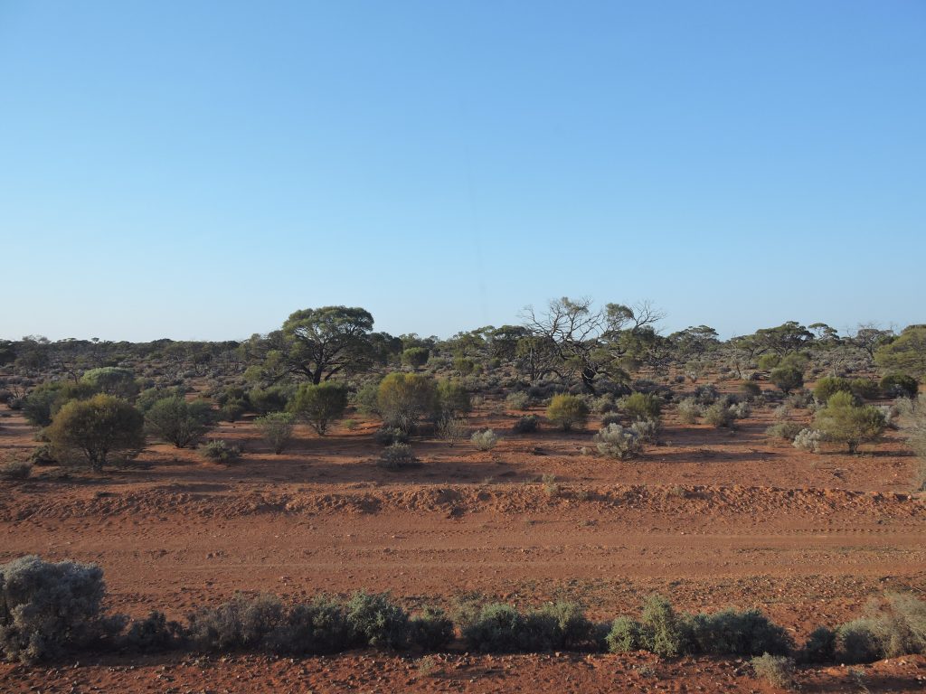 Indian Pacific Railway