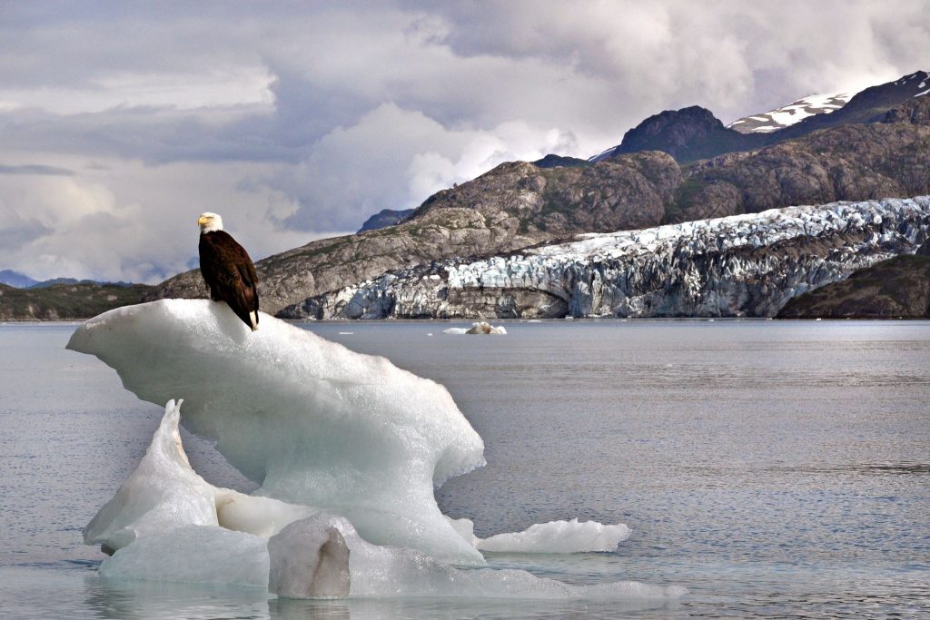 Glacier Bay National Park