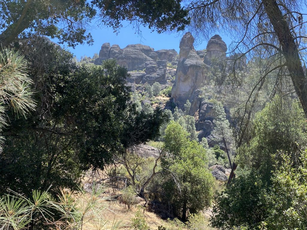 Pinnacles National Park