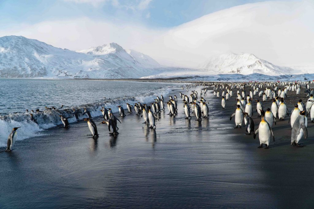 Silversea Cruises