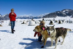 Disney-Exclusive Glacier Dog Musher for a Day