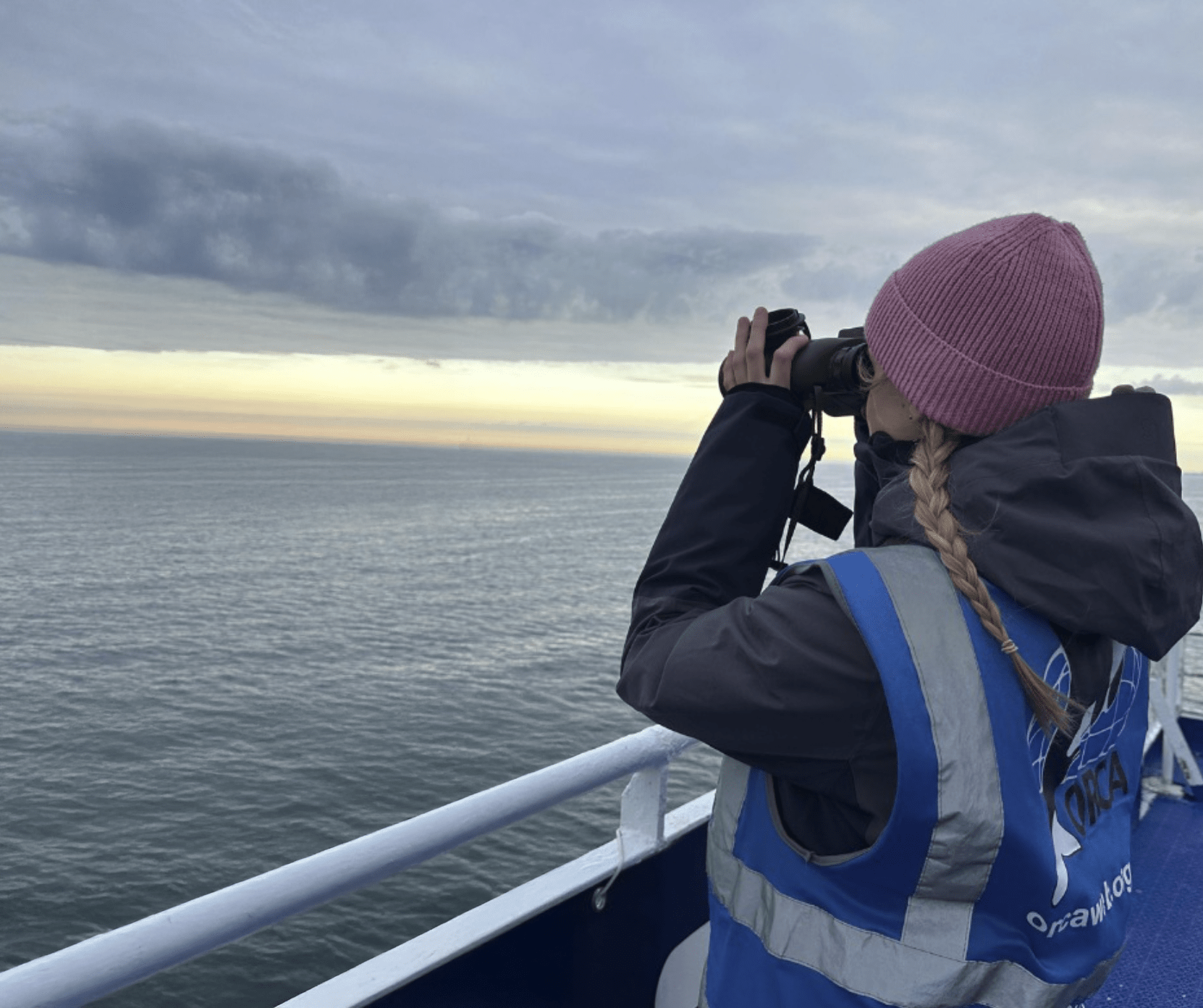 Whale watching (ORCA)