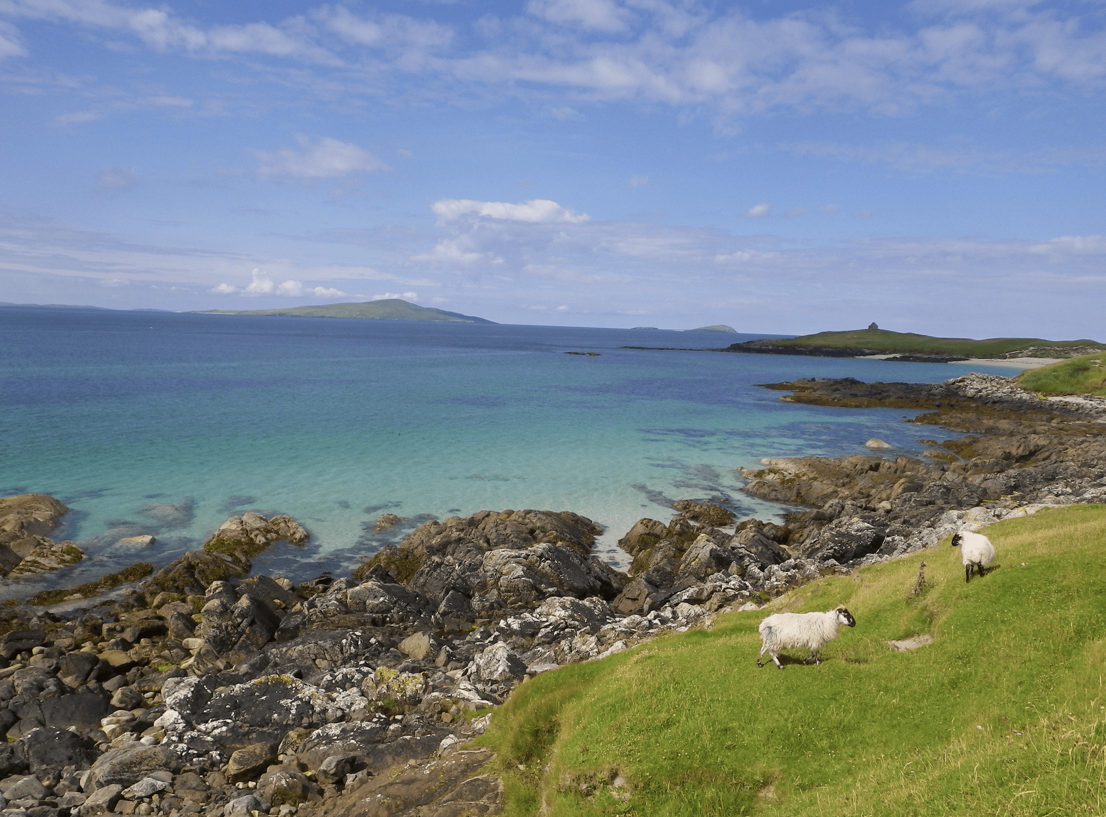 (Wilderness Scotland)