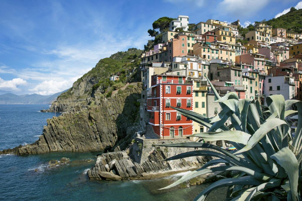 MSC Cruises